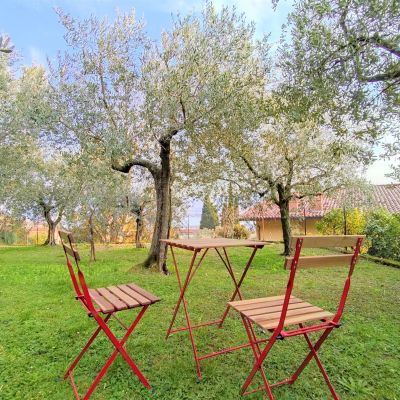 L'Uliveto di Bea - Alba
